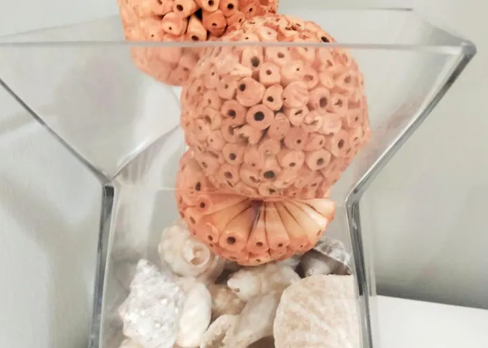 Apartamento Caleta Casa Beatriz *