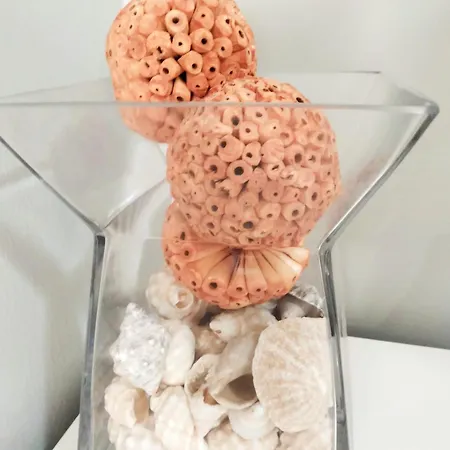 شقة Caleta Casa Beatriz *